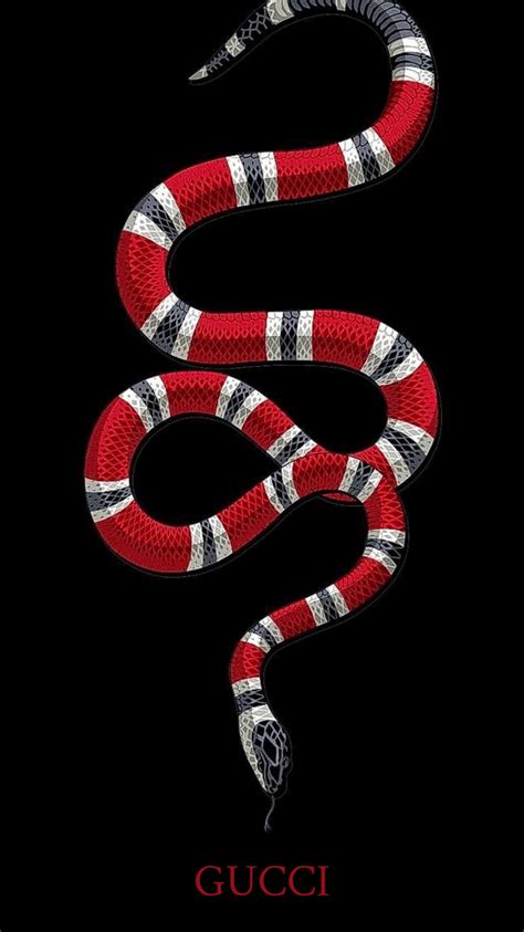 gucci snake models guy|origin of gucci snake.